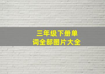 三年级下册单词全部图片大全