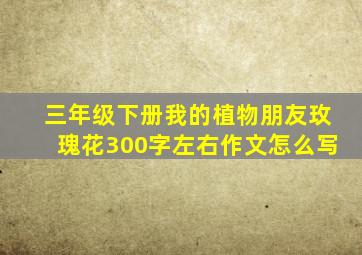 三年级下册我的植物朋友玫瑰花300字左右作文怎么写