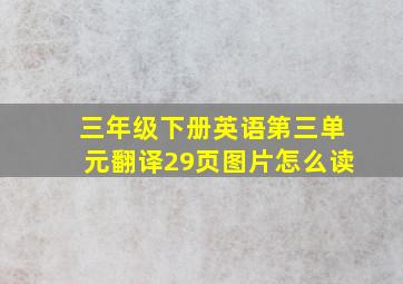 三年级下册英语第三单元翻译29页图片怎么读