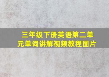 三年级下册英语第二单元单词讲解视频教程图片