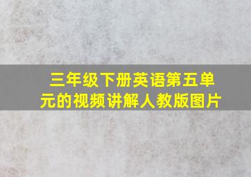 三年级下册英语第五单元的视频讲解人教版图片