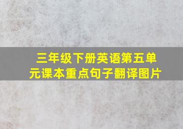 三年级下册英语第五单元课本重点句子翻译图片