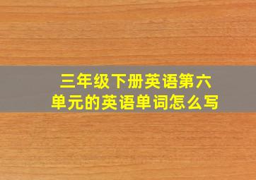 三年级下册英语第六单元的英语单词怎么写