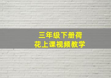 三年级下册荷花上课视频教学