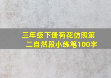 三年级下册荷花仿照第二自然段小练笔100字