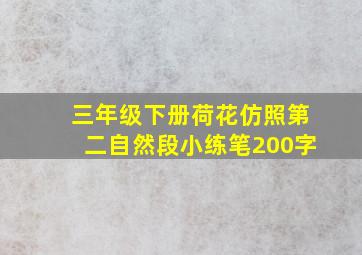 三年级下册荷花仿照第二自然段小练笔200字