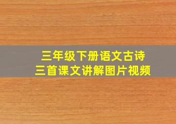 三年级下册语文古诗三首课文讲解图片视频