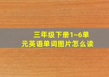 三年级下册1~6单元英语单词图片怎么读