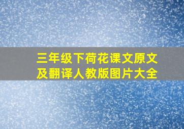 三年级下荷花课文原文及翻译人教版图片大全