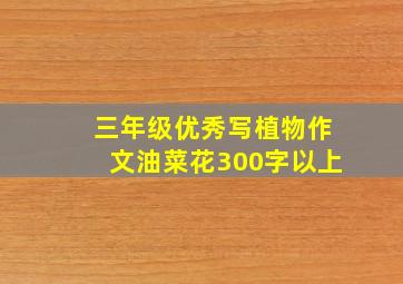 三年级优秀写植物作文油菜花300字以上