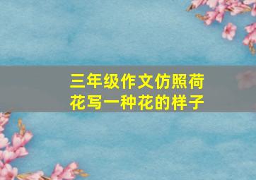 三年级作文仿照荷花写一种花的样子