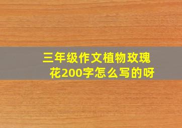 三年级作文植物玫瑰花200字怎么写的呀