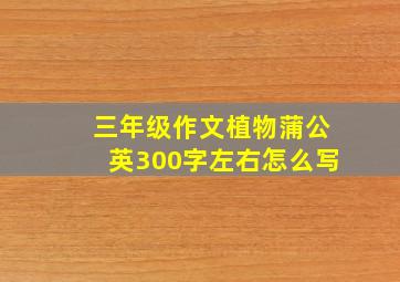 三年级作文植物蒲公英300字左右怎么写