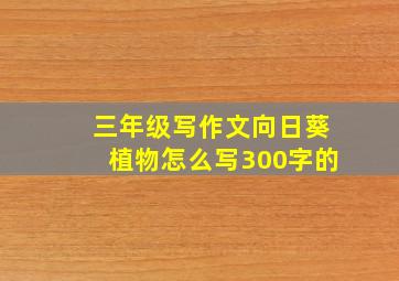 三年级写作文向日葵植物怎么写300字的