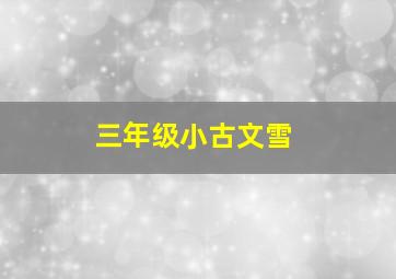 三年级小古文雪