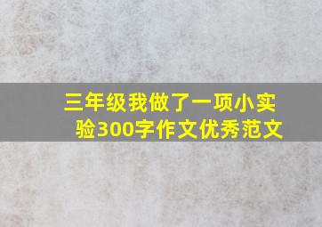 三年级我做了一项小实验300字作文优秀范文