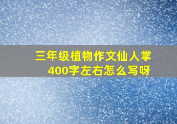 三年级植物作文仙人掌400字左右怎么写呀