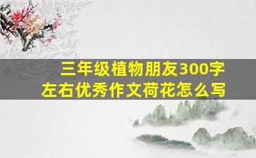 三年级植物朋友300字左右优秀作文荷花怎么写