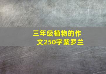 三年级植物的作文250字紫罗兰