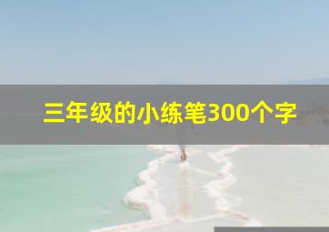 三年级的小练笔300个字