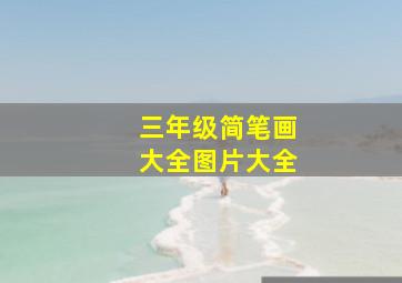 三年级简笔画大全图片大全