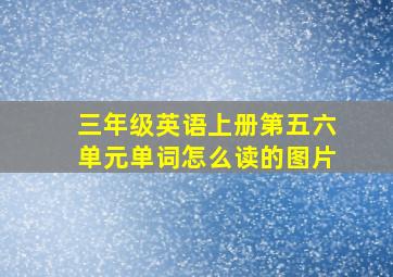 三年级英语上册第五六单元单词怎么读的图片