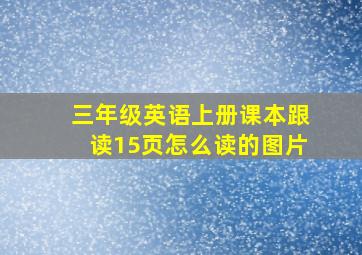 三年级英语上册课本跟读15页怎么读的图片