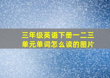 三年级英语下册一二三单元单词怎么读的图片