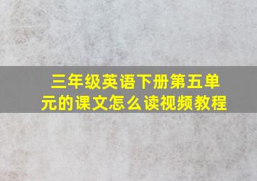 三年级英语下册第五单元的课文怎么读视频教程