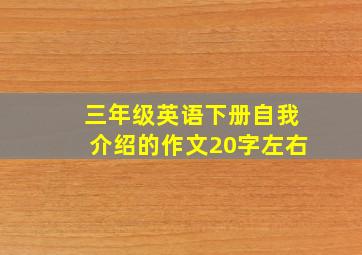 三年级英语下册自我介绍的作文20字左右