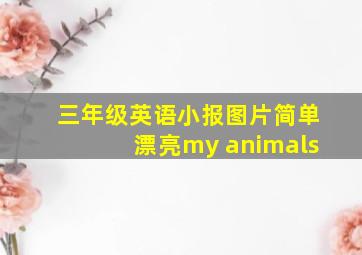 三年级英语小报图片简单漂亮my animals