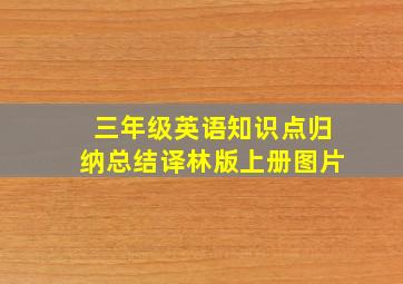 三年级英语知识点归纳总结译林版上册图片