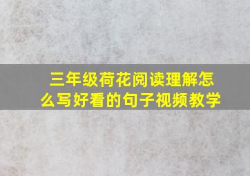 三年级荷花阅读理解怎么写好看的句子视频教学