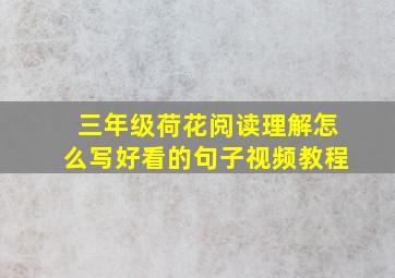 三年级荷花阅读理解怎么写好看的句子视频教程