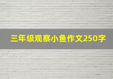 三年级观察小鱼作文250字