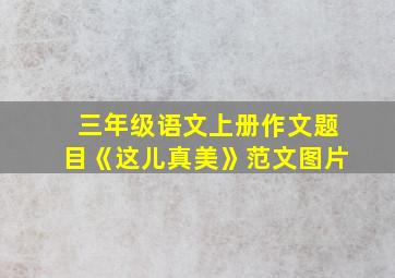 三年级语文上册作文题目《这儿真美》范文图片