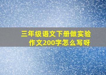 三年级语文下册做实验作文200字怎么写呀