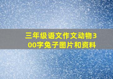 三年级语文作文动物300字兔子图片和资料