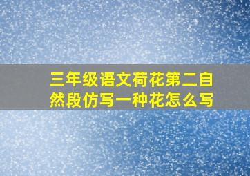 三年级语文荷花第二自然段仿写一种花怎么写