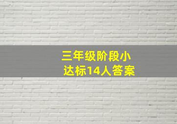 三年级阶段小达标14人答案