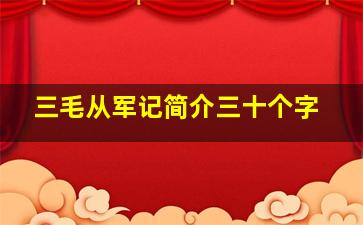 三毛从军记简介三十个字