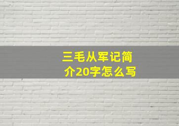 三毛从军记简介20字怎么写