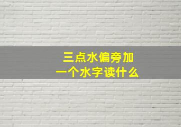 三点水偏旁加一个水字读什么