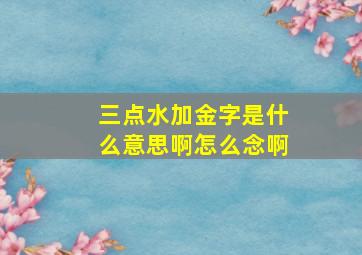 三点水加金字是什么意思啊怎么念啊