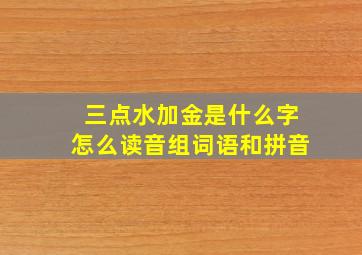 三点水加金是什么字怎么读音组词语和拼音