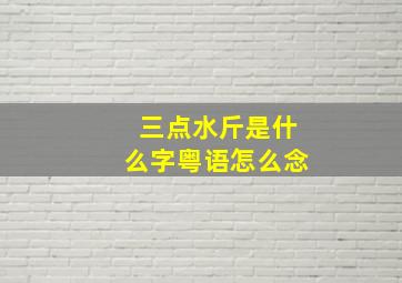 三点水斤是什么字粤语怎么念