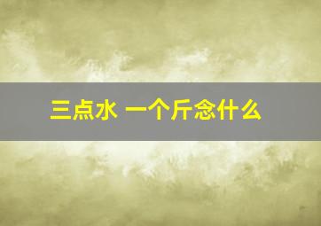 三点水 一个斤念什么