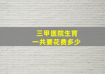 三甲医院生育一共要花费多少