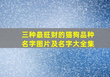 三种最旺财的猫狗品种名字图片及名字大全集