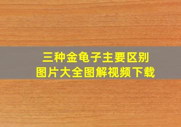 三种金龟子主要区别图片大全图解视频下载